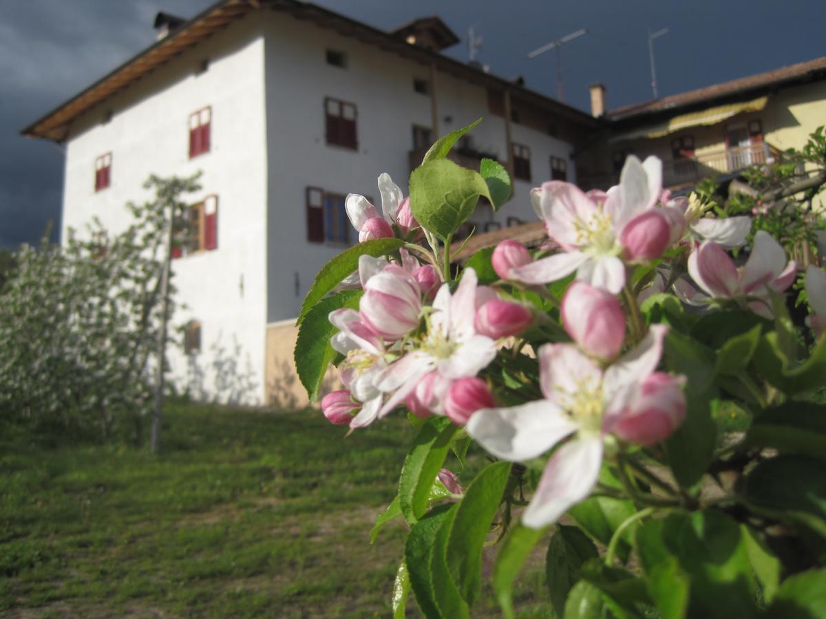 Agritur Maso San Bartolomeo Villa Romeno Luaran gambar